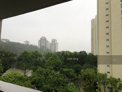 Blk 523 Bukit Batok Street 52 (Bukit Batok), HDB 3 Rooms #202611002
